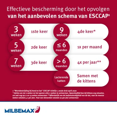 Ontwormingsschema ESCCAP: 3 weken 1ste keer, 5 weken 2de keer, 7 weken 3de keer, 9 weken 4de keer, ≤6 maanden 1x per maand, >6 maanden 4x per jaar, lacterende katten samen met kittens. Milbemax.