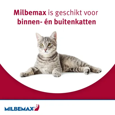 Milbemax is geschikt voor binnen- én buitenkatten. Merknaam: Milbemax, afbeelding van een grijze kat op witte achtergrond.