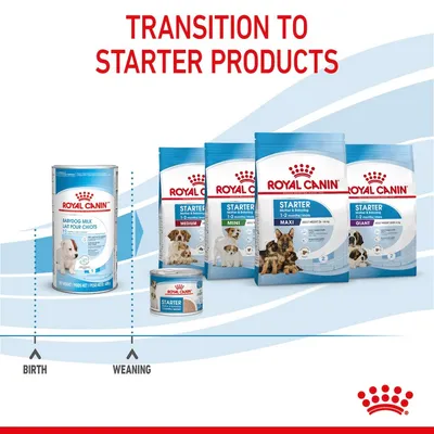 Royal Canin BabyDog Milk i Starter hrana za pse: Medium, Mini, Maxi, Giant. Prikaz prijelaza s mlijeka na starter proizvode za štence. Vidljiv tekst na engleskom jeziku.