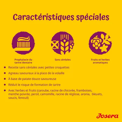Caractéristiques spéciales : prophylaxie du tartre dentaire, sans céréales, fruits et herbes aromatiques. Recette sans céréales, agneau, patate douce, réduit le tartre, avec herbes et fruits variés.