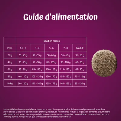 Tabla de guía de alimentación para perros en francés: cantidades diarias recomendadas según peso (2–10 kg) y edad en meses (1,5–adulto), con croqueta marrón a la derecha.