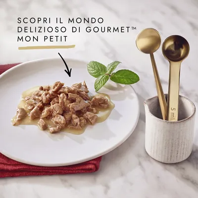 Testo: Scopri il mondo delizioso di Gourmet Mon Petit. Bocconcini in salsa su piatto bianco con foglia di menta, cucchiai dosatori dorati in tazza ceramica.