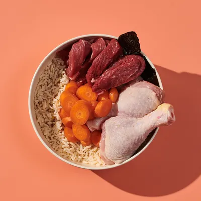 Bowl containing raw beef pieces, chicken drumstick, sliced carrots and cooked rice, showing visible ingredients of pet food.