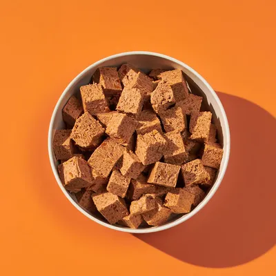 Bowl filled with brown, cube-shaped pet food pieces displayed on an orange background.