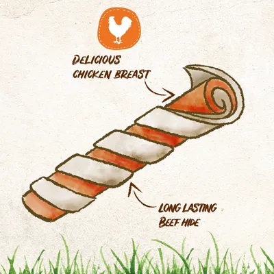Illustration showing a chew stick made of delicious chicken breast wrapped around long lasting beef hide, with text highlighting these features.