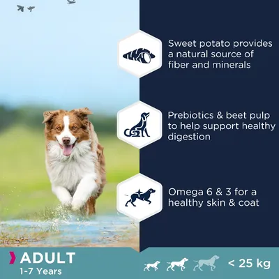 ADULT 1–7 Years, alle 25 kg. Sweet potato provides a natural source of fiber and minerals. Prebiotics & beet pulp to help support healthy digestion. Omega 6 & 3 for a healthy skin & coat.