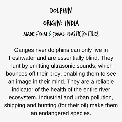 Dolphin, origin India, made from six 500ml plastic bottles. Ganges river dolphins live in freshwater, are blind, use ultrasonic sounds to hunt, and are endangered due to pollution and hunting.