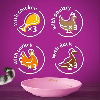 Text: with chicken x3, with poultry x3, with turkey x3, with duck x3. Four icons for each meat type above a pink plate and part of a cat’s tail visible on left.