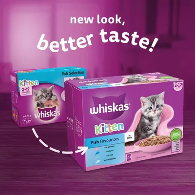Whiskas Kitten 2–12 Months Fish Favourites in Jelly, 12 meals. New look, better taste! Visible flavours: salmon, tuna, cod, whitefish. 100% complete nutrition badge shown.