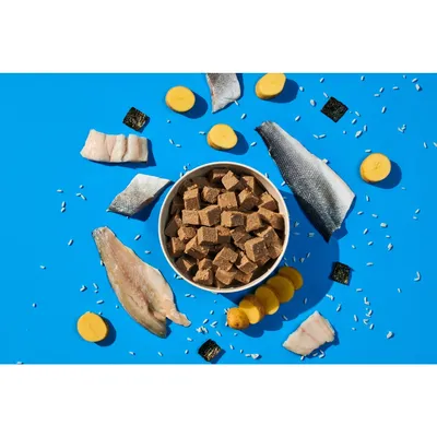 Bowl of cubed pet food surrounded by pieces of fish, yellow discs, seaweed squares and grains on a blue background, showing visible ingredients.