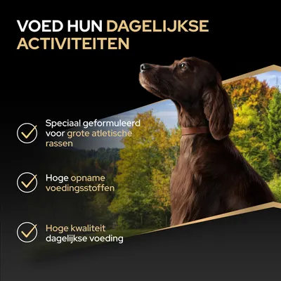 Speciaal samengesteld voor grote, atletische rassen, hoge opname van voedingsstoffen, hoogwaardige dagelijkse voeding. Voor dagelijkse activiteiten.