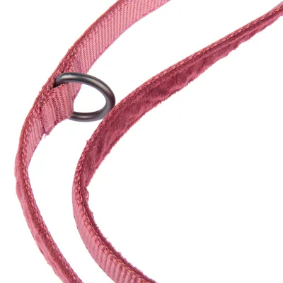 Close-up van een roze halsband met zachte voering en zwarte metalen ring.