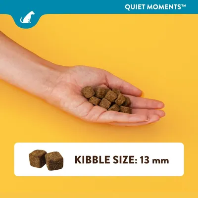 NaturVet Quiet Moments Snacks
