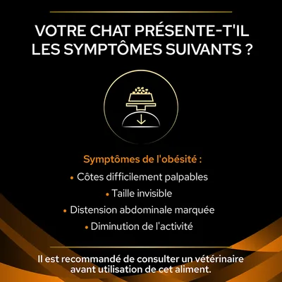 Symptômes de l’obésité chez le chat : côtes difficilement palpables, taille invisible, distension abdominale marquée, diminution de l’activité. Consultez un vétérinaire avant usage.