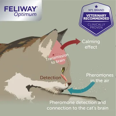 Diagram showing pheromones in the air detected by a cat, transmitted to the brain for a calming effect. Includes text: 'Veterinary recommended, clinically proven'.