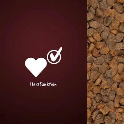Symbol eines Herzens mit Häkchen und Text 'Herzfunktion' neben einer Nahaufnahme von braunen Kroketten.