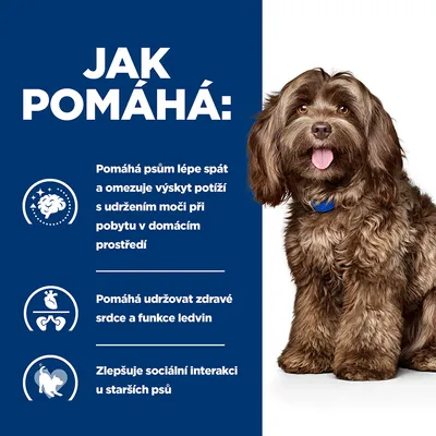 Text v češtine: Jak pomáhá: Pomáhá psům lépe spát a omezuje výskyt potíží s udržením moči, pomáhá udržovat zdravé srdce a ledviny, zlepšuje sociální interakci u starších psů.