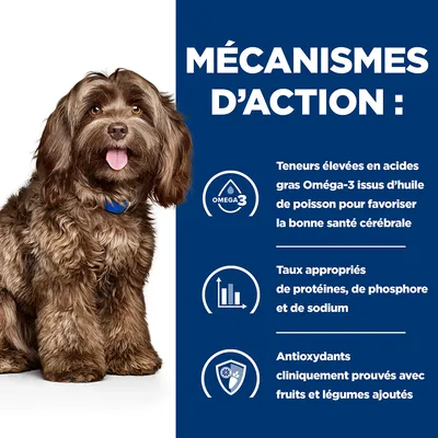 Mécanismes d’action : Oméga-3 issus d’huile de poisson pour la santé cérébrale, taux appropriés de protéines, phosphore et sodium, antioxydants avec fruits et légumes ajoutés.