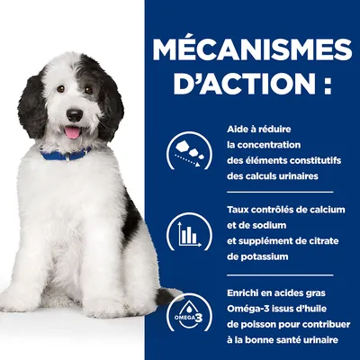 MÉCANISMES D’ACTION : aide à réduire la concentration des éléments constitutifs des calculs urinaires, taux contrôlés de calcium et sodium, enrichi en Oméga-3 pour la santé urinaire