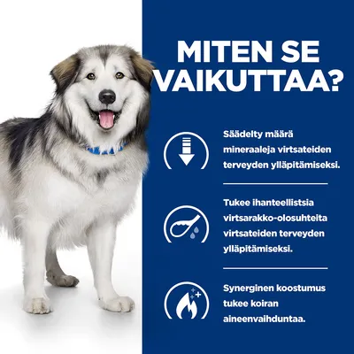 Teksti: MITEN SE VAIKUTTAA? Säädelty määrä mineraaleja virtsateiden terveyden ylläpitämiseksi. Tukee ihanteellisia virtsarakko-olosuhteita. Synerginen koostumus tukee aineenvaihduntaa.