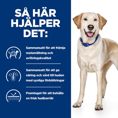 Så här hjälper det: Sammansatt för att främja matsmältning och avföringskvalitet, ge näring och vård till huden samt behålla en frisk hudbarriär. Hund med blått halsband.