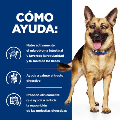 CÓMO AYUDA: Nutre activamente el microbioma intestinal y favorece la regularidad y la salud de las heces. Ayuda a calmar el tracto digestivo. Probado clínicamente que ayuda a reducir molestias digestivas.