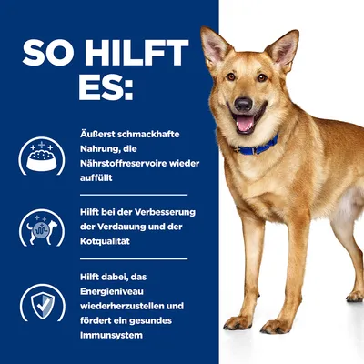 So hilft es: Schmackhafte Nahrung füllt Nährstoffreserven auf, verbessert Verdauung und Kotqualität, stellt Energieniveau wieder her und fördert ein gesundes Immunsystem.