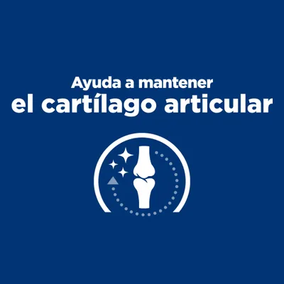 Ayuda a mantener el cartílago articular