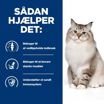 SÅDAN HJÆLPER DET: Bidrager til at vedligeholde ledbrusk. Bidrager til at bevare stærke muskler. Understøtter et sundt immunsystem. Billede af kat til højre.