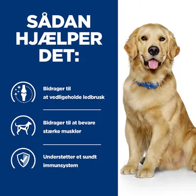 Sådan hjælper det: Bidrager til at vedligeholde ledbrusk, bidrager til at bevare stærke muskler, understøtter et sundt immunsystem. Hund sidder ved siden af tekst.