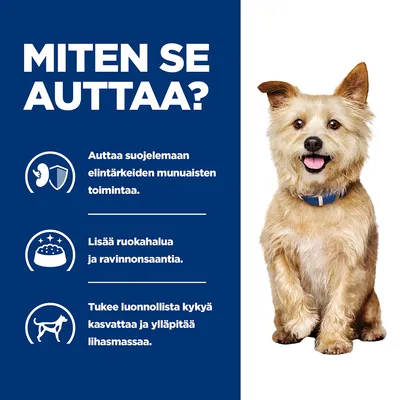 Teksti: Miten se auttaa? Auttaa suojelemaan elintärkeiden munuaisten toimintaa. Lisää ruokahalua ja ravinnonsaantia. Tukee luonnollista kykyä kasvattaa ja ylläpitää lihasmassaa.