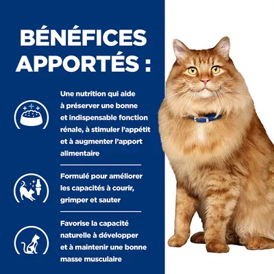 BÉNÉFICES APPORTÉS : nutrition pour fonction rénale, appétit et apport alimentaire ; améliore capacités à courir, grimper, sauter ; favorise développement et maintien de la masse musculaire.