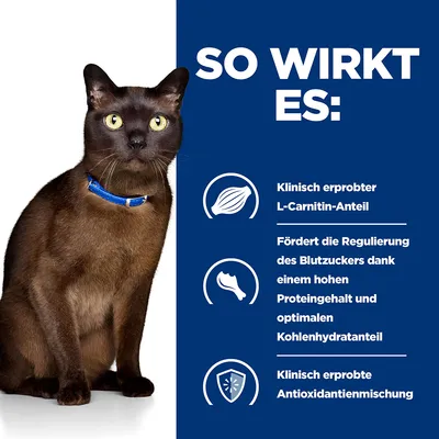 So wirkt es: Klinisch erprobter L-Carnitin-Anteil, fördert die Regulierung des Blutzuckers dank hohem Proteingehalt und optimalem Kohlenhydratanteil, klinisch erprobte Antioxidantienmischung.