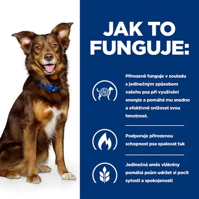 Text v češtine: Jak to funguje. Prirodzene funguje v súlade s jedinečným spôsobom psa pri využívaní energie, pomáha znižovať hmotnosť, podporuje spaľovanie tuku a pocit sýtosti.
