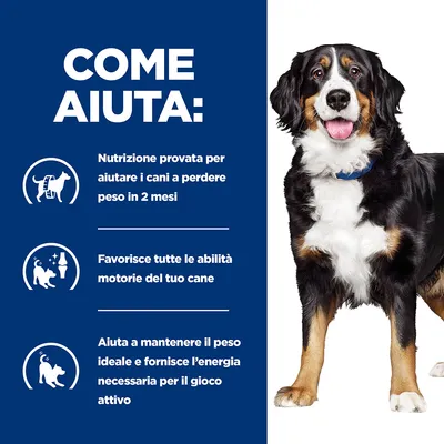 COME AIUTA: Nutrizione provata per aiutare i cani a perdere peso in 2 mesi. Favorisce tutte le abilità motorie del tuo cane. Aiuta a mantenere il peso ideale e fornisce energia per il gioco attivo.