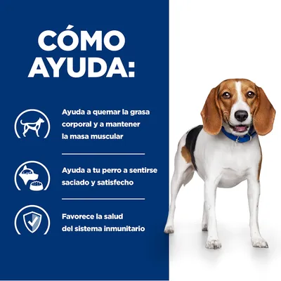 Texto: Cómo ayuda. Ayuda a quemar la grasa corporal y a mantener la masa muscular. Ayuda a tu perro a sentirse saciado y satisfecho. Favorece la salud del sistema inmunitario.