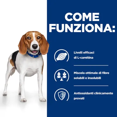 COME FUNZIONA: Livelli efficaci di L-carnitina, miscela ottimale di fibre solubili e insolubili, antiossidanti clinicamente provati.