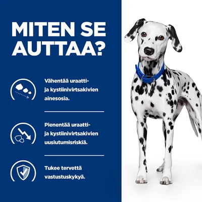 Miten se auttaa? Vähentää uraatti- ja kystiini­virtsakivien ainesosia. Pienentää uusiutumisriskiä. Tukee tervettä vastustuskykyä. Dalmatialaiskoira sinisellä pannalla.