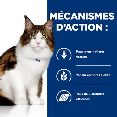 MÉCANISMES D’ACTION : Pauvre en matières grasses, Teneur en fibres élevée, Taux de L-carnitine efficaces. Chat à poils longs visible à gauche.