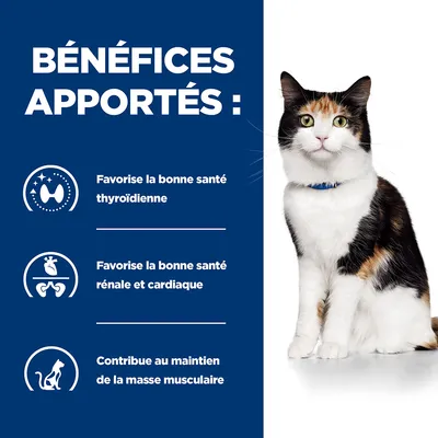 Bénéfices apportés : favorise la bonne santé thyroïdienne, favorise la bonne santé rénale et cardiaque, contribue au maintien de la masse musculaire. Chat assis à droite.