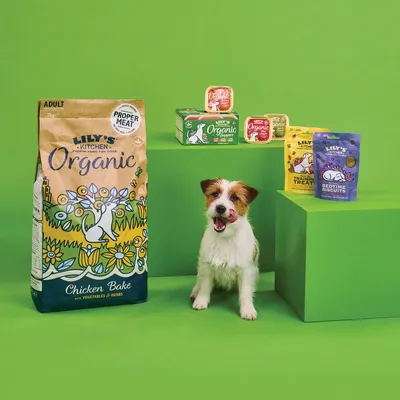 Selection of Lily's Kitchen Organic pet food and treats displayed with a dog, showing product packaging for Chicken Bake, training treats, bedtime biscuits, and assorted organic trays.