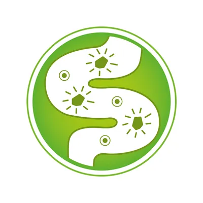 Symbol für gesunde Verdauung mit grünem Hintergrund und stilisierten Darmschlingen, umgeben von leuchtenden Partikeln.