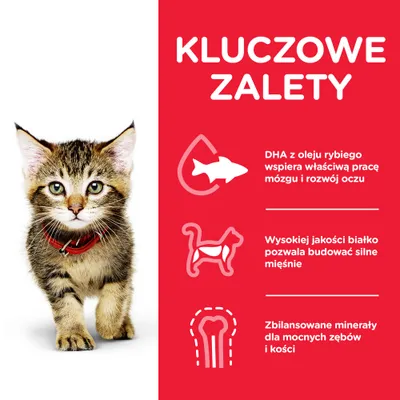 Kluczowe zalety: DHA z oleju rybiego wspiera pracę mózgu i rozwój oczu, wysokiej jakości białko buduje mięśnie, zbilansowane minerały dla mocnych zębów i kości.