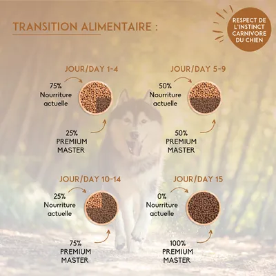 Transition alimentaire : jours 1–4, 75 % nourriture actuelle, 25 % PREMIUM MASTER ; jours 5–9, 50 % chaque ; jours 10–14, 25 % actuelle, 75 % PREMIUM MASTER ; jour 15, 100 % PREMIUM MASTER.