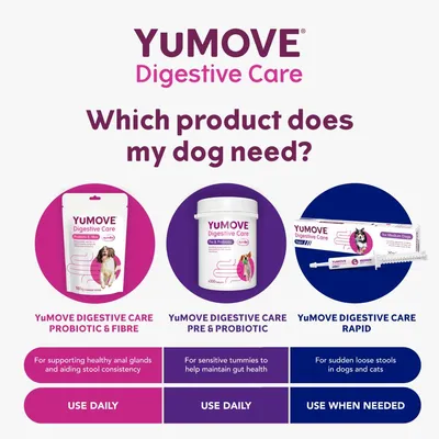 Comparison of YuMOVE Digestive Care Probiotic & Fibre for stool consistency, Pre & Probiotic for sensitive tummies, and Rapid for sudden loose stools. Use daily or when needed as shown.