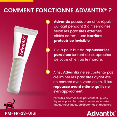 Comment fonctionne Advantix ? Effet répulsif 2 à 4 semaines, barrière protectrice invisible, repousse les parasites avant qu’ils n’approchent le chien. Advantix visible sur l’image.