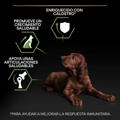 Enriquecido con calostro. Promueve un crecimiento saludable. Apoya unas articulaciones saludables. Para ayudar a mejorar la respuesta inmunitaria.