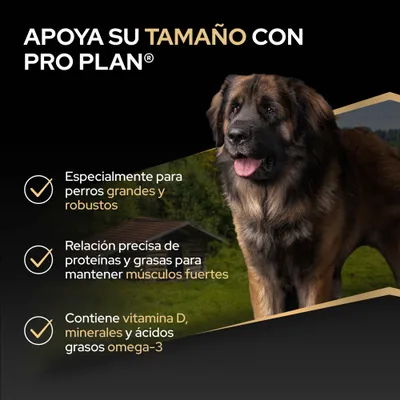Apoya a los perros grandes con Pro Plan: especialmente diseñado para perros grandes y robustos, proporción equilibrada de proteínas y grasas, contiene vitamina D, minerales y ácidos grasos omega-3. Apoya a los perros grandes con Pro Plan: especialmente diseñado para perros grandes y robustos, proporción equilibrada de proteínas y grasas, contiene vitamina D, minerales y ácidos grasos omega-3.