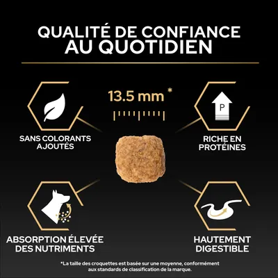 Taille des croquettes 13,5 mm, sans colorants, riche en protéines, absorption élevée des nutriments, facilement digestible. Qualité de confiance au quotidien.