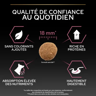 Croquettes de 18 mm de diamètre, sans colorants, riches en protéines, absorption élevée des nutriments, hautement digestibles, formulées sans blé. Croquettes de 18 mm de diamètre, sans colorants, riches en protéines, absorption élevée des nutriments, hautement digestibles, formulées sans blé.